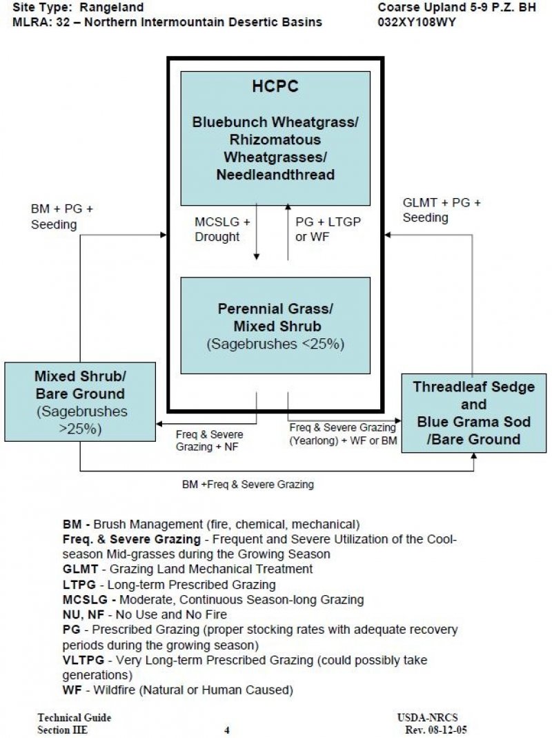 Model diagram