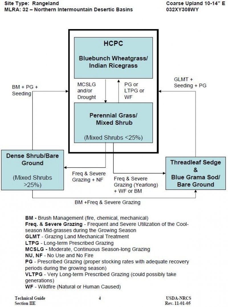 Model diagram