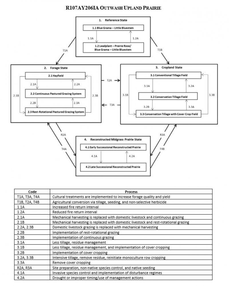 Model diagram