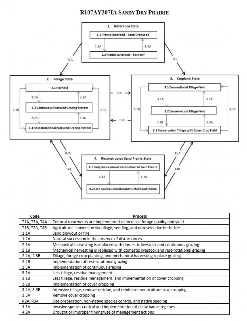Model diagram