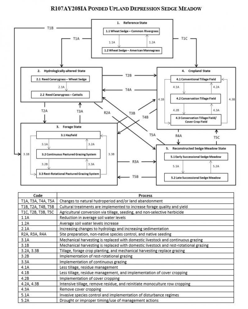 Model diagram