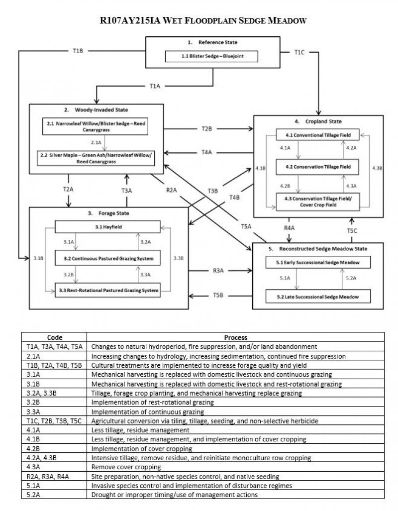 Model diagram