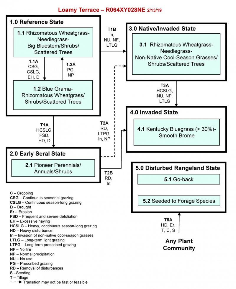 Model diagram