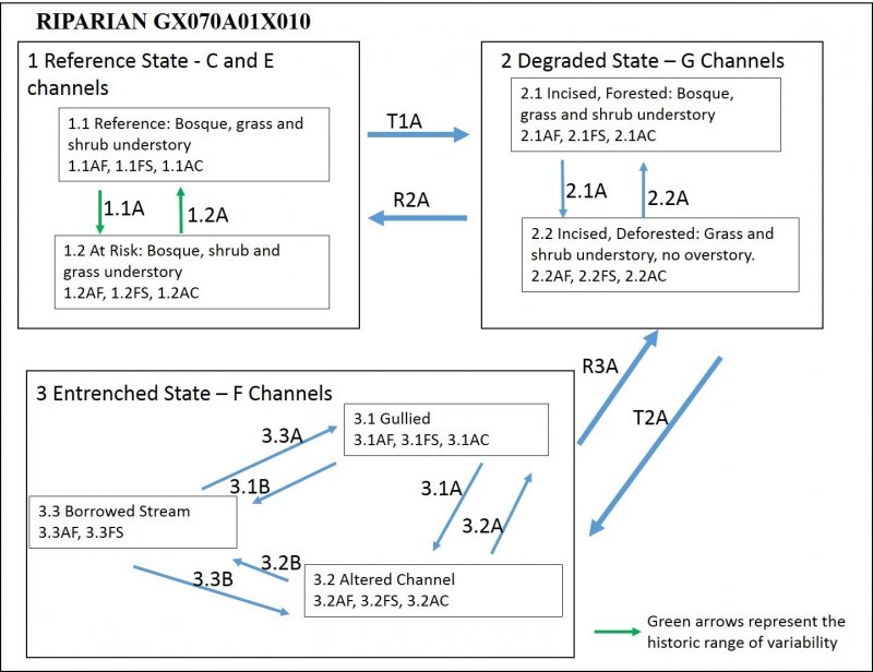 Model diagram