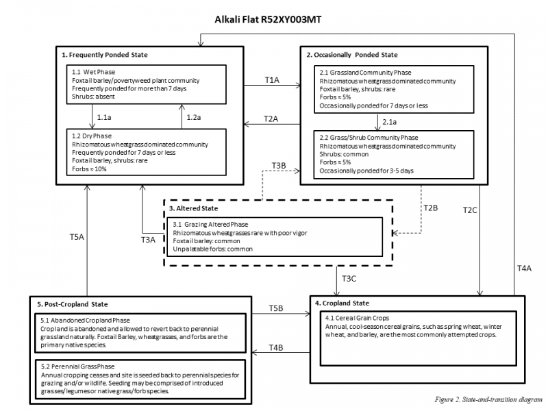 Model diagram