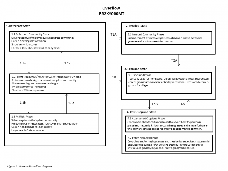 Model diagram