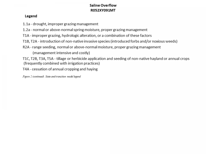 Model diagram
