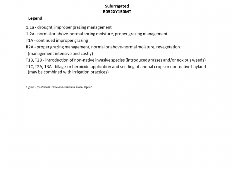 Model diagram