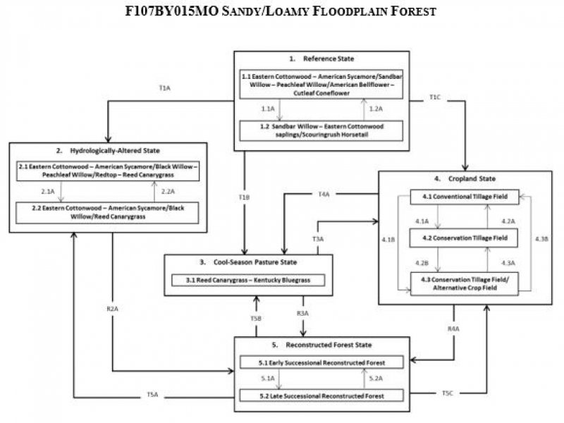 Model diagram
