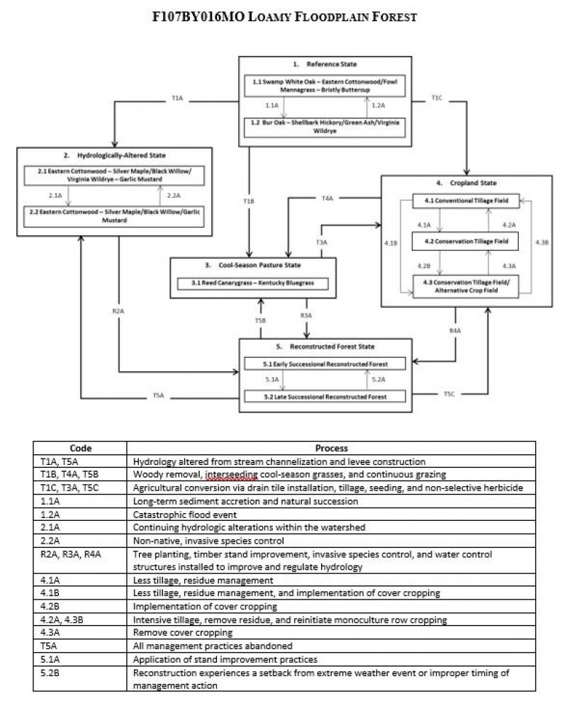 Model diagram