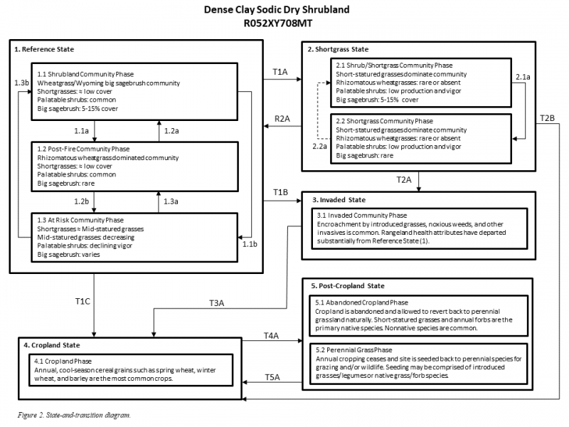 Model diagram