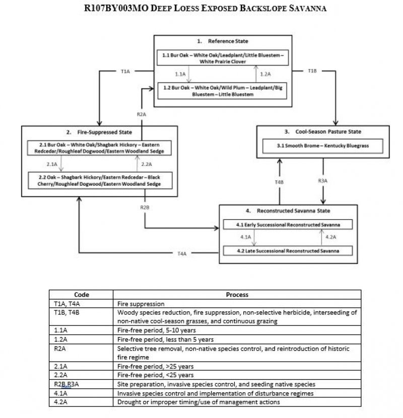 Model diagram