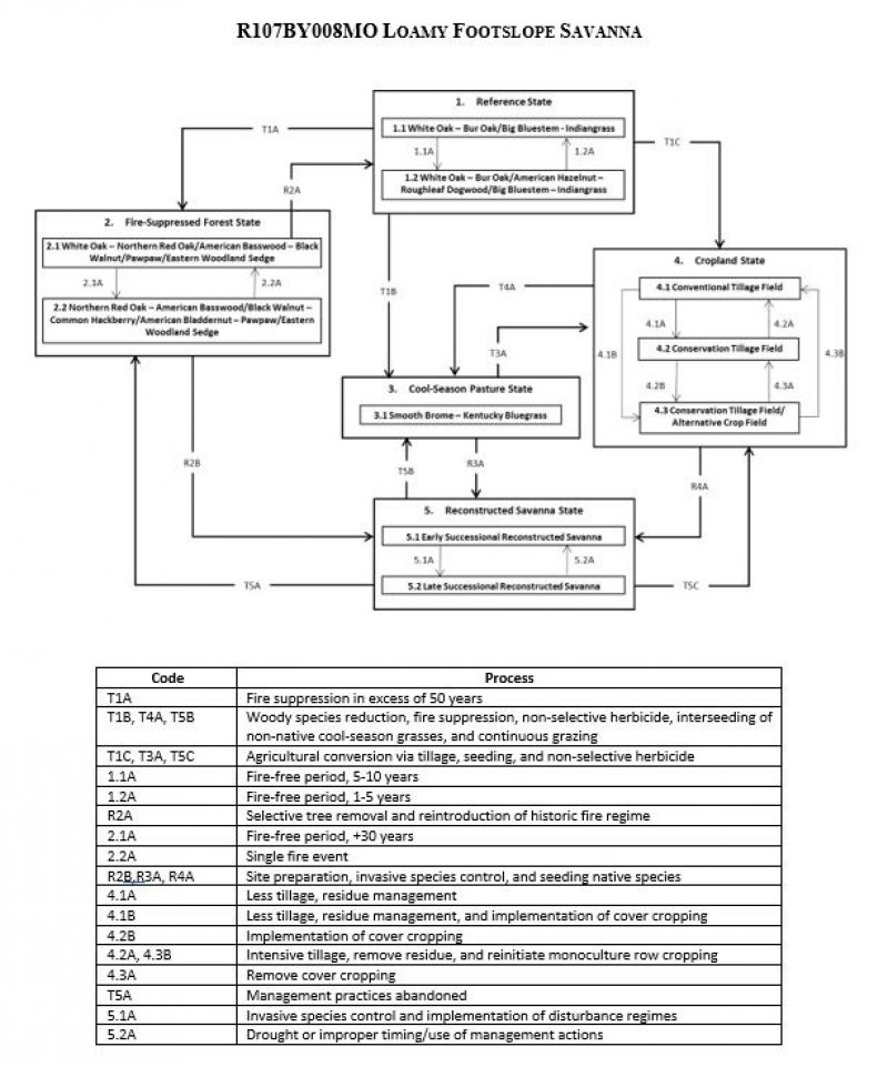 Model diagram