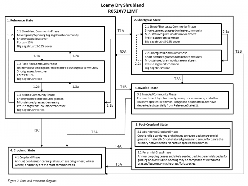 Model diagram