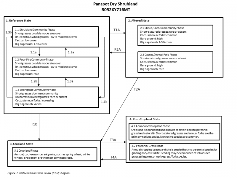 Model diagram