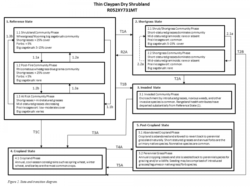 Model diagram