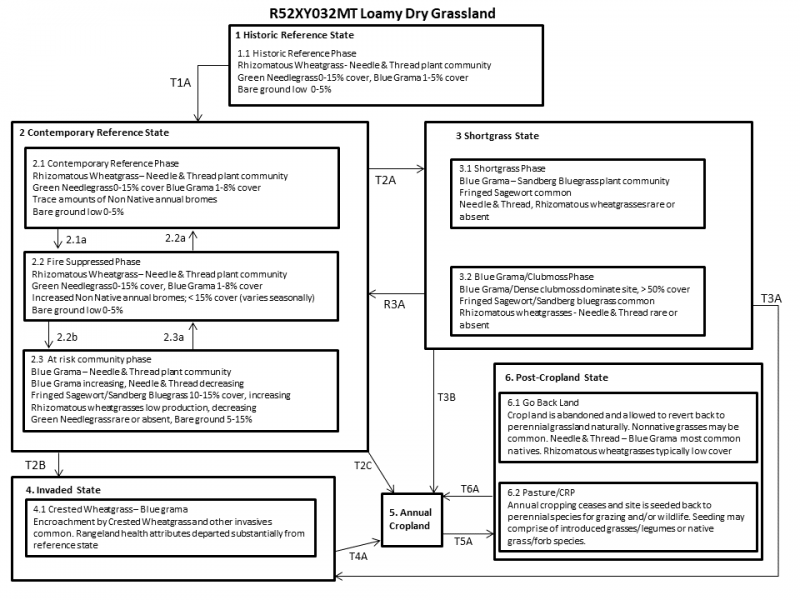 Model diagram