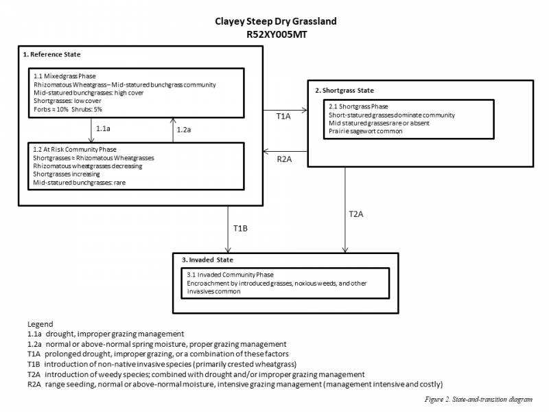 Model diagram