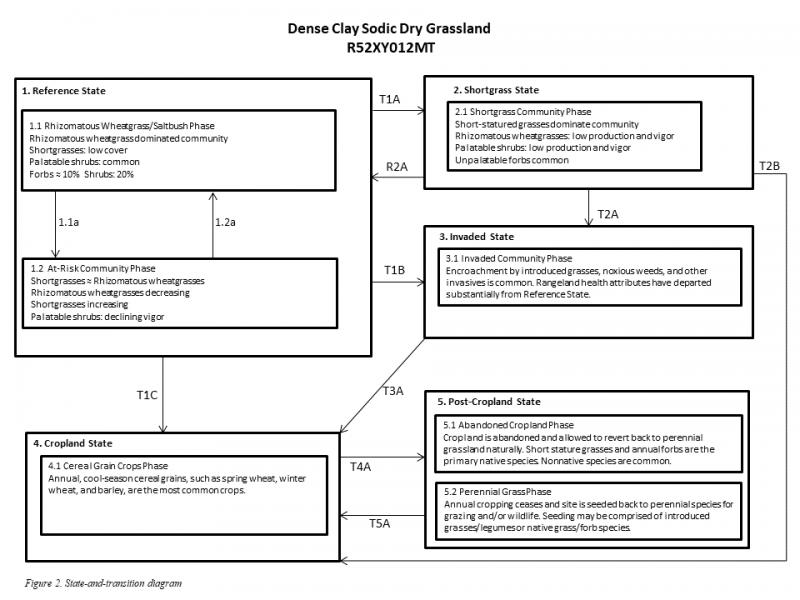 Model diagram