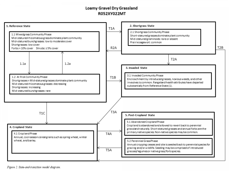 Model diagram