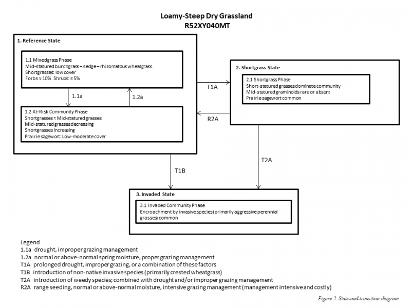 Model diagram