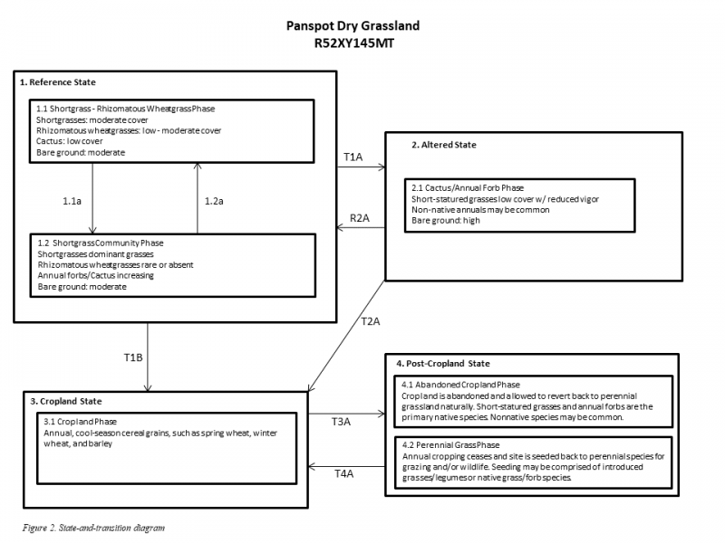 Model diagram