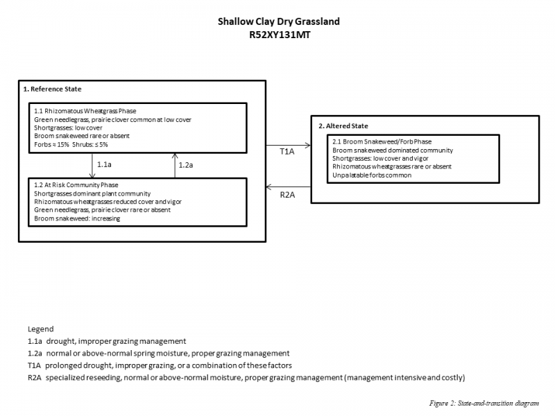 Model diagram