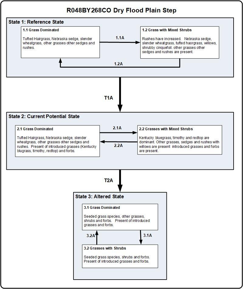 Model diagram