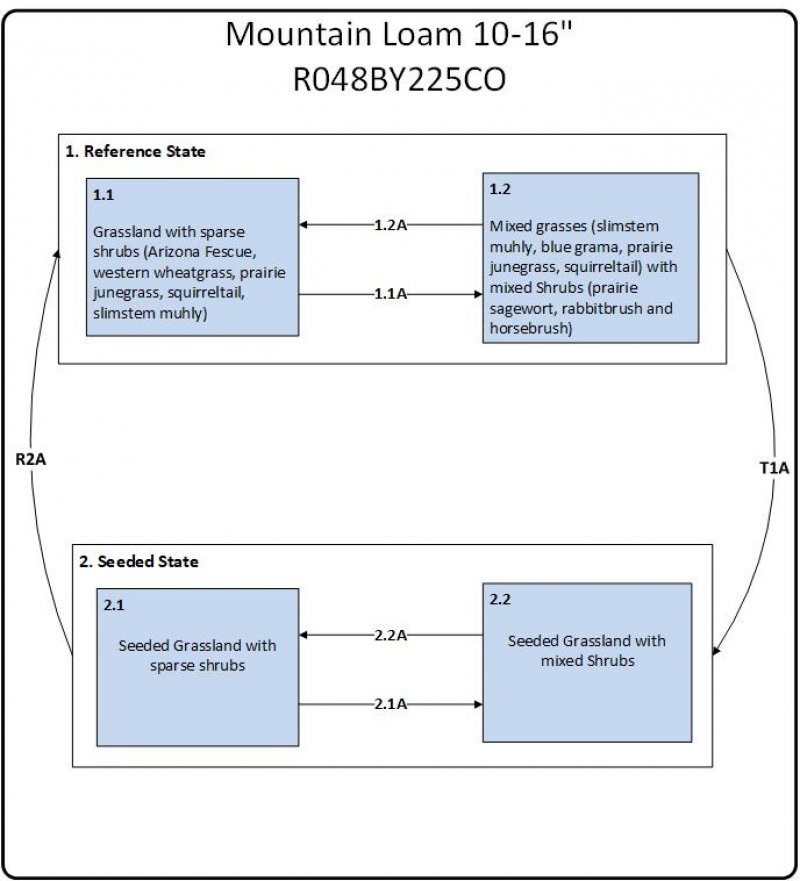 Model diagram