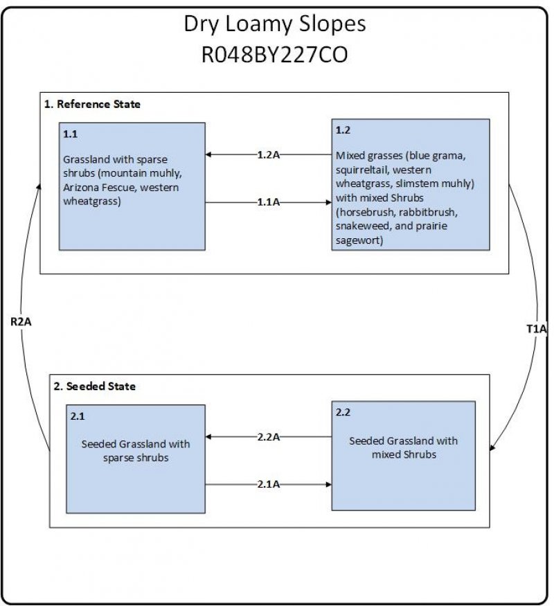 Model diagram
