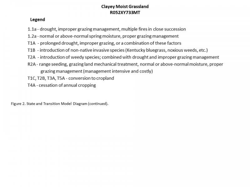 Model diagram