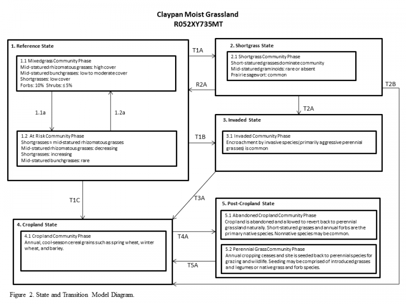 Model diagram
