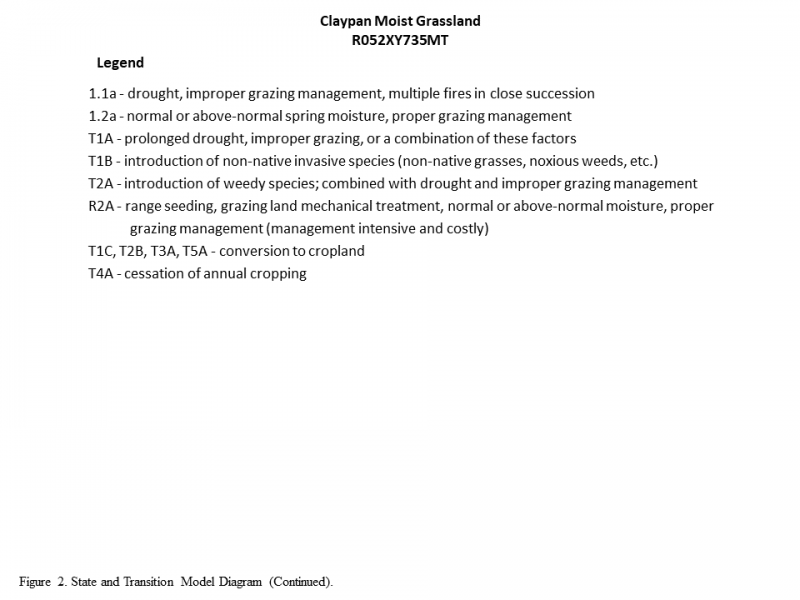 Model diagram