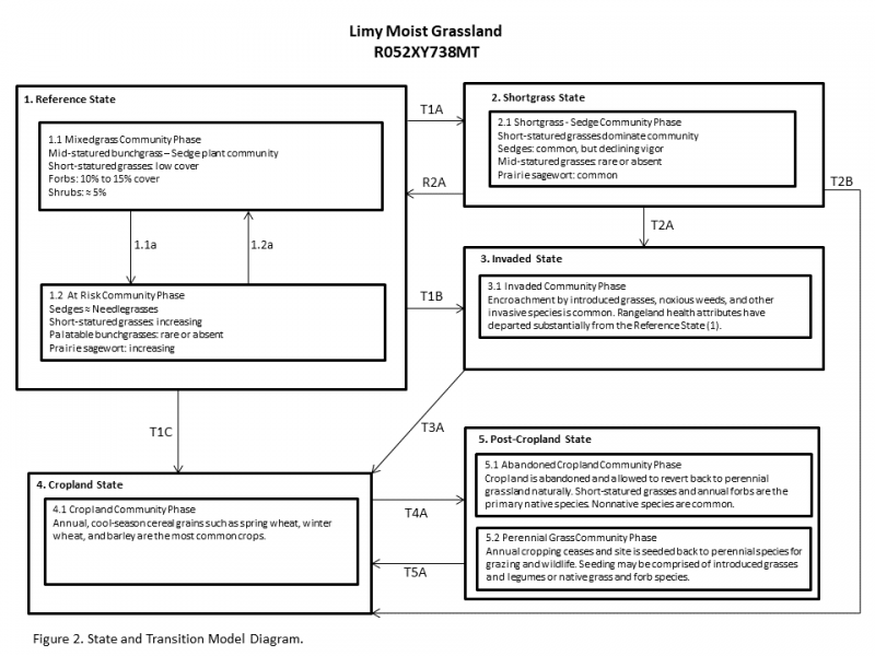 Model diagram
