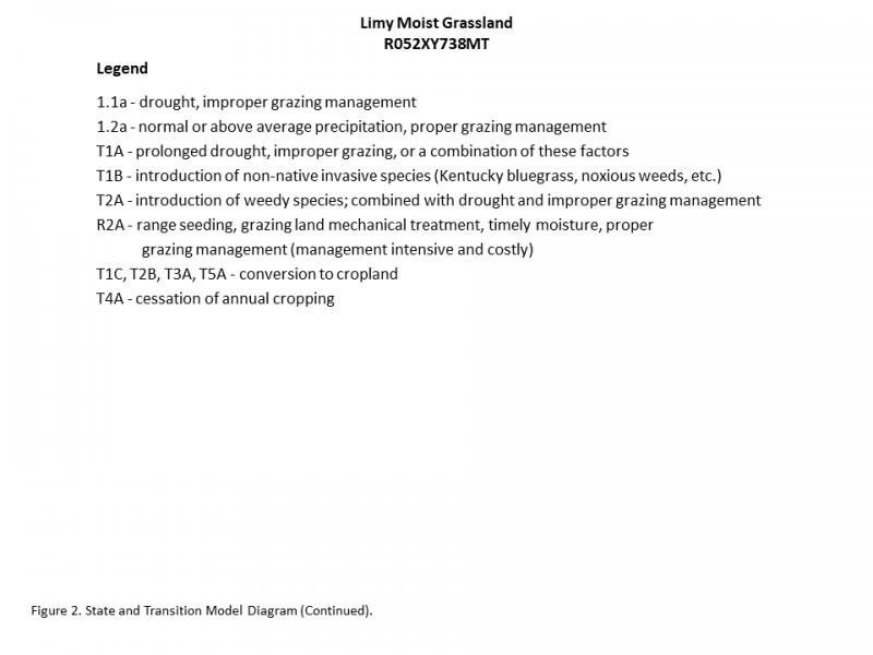 Model diagram