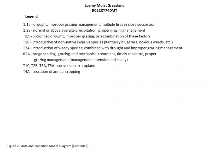 Model diagram