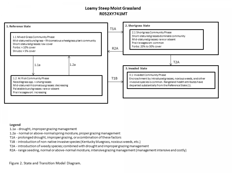 Model diagram