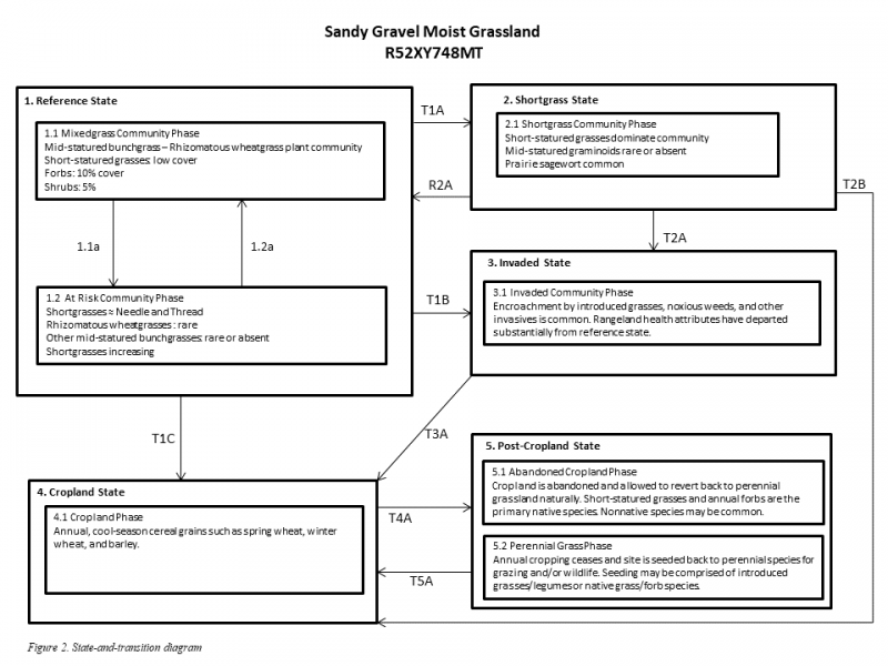 Model diagram