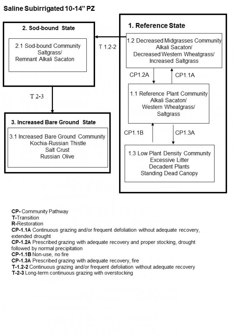 Model diagram