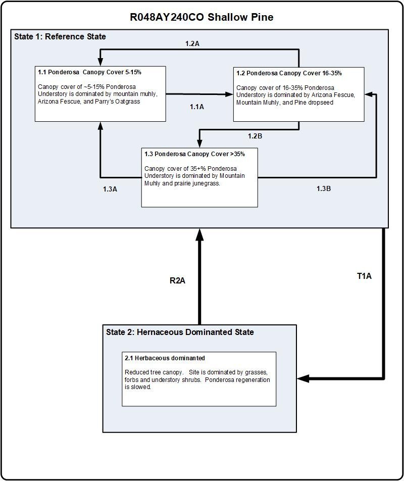 Model diagram