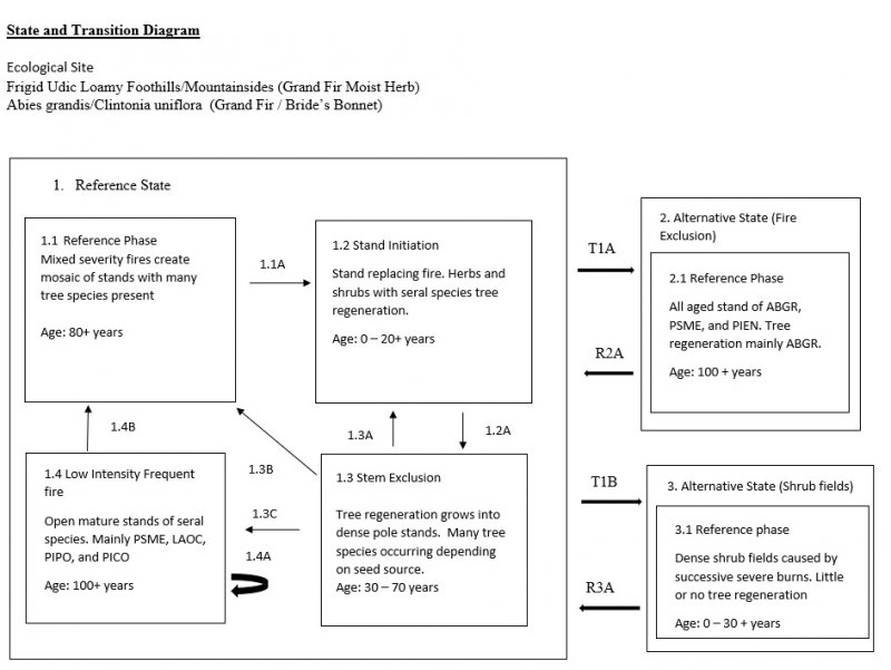 Model diagram