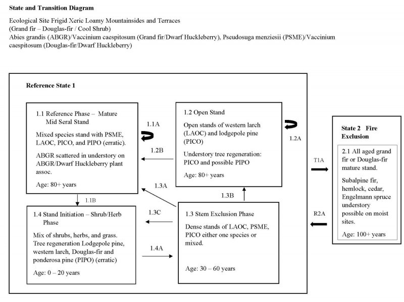 Model diagram