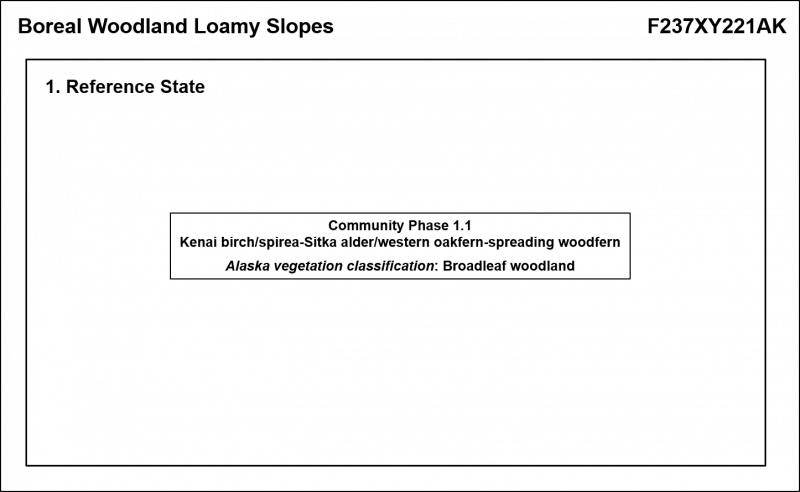 Model diagram