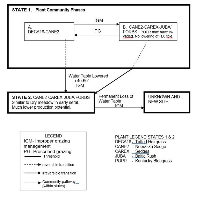 Model diagram