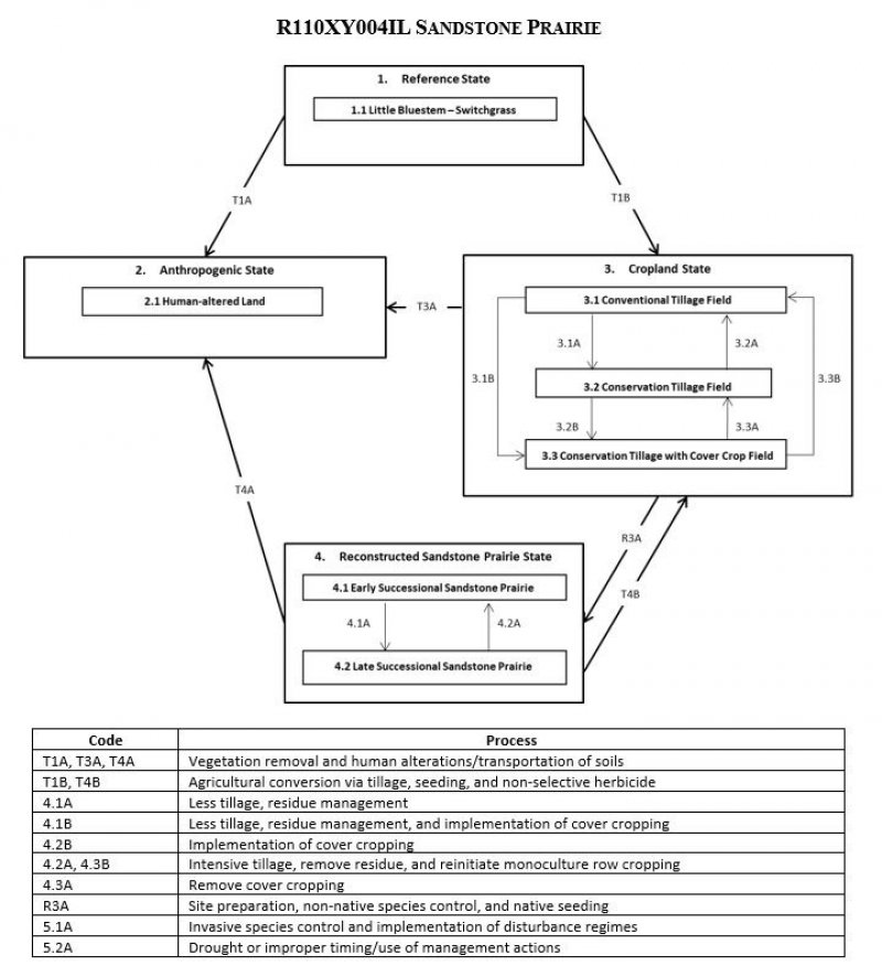 Model diagram