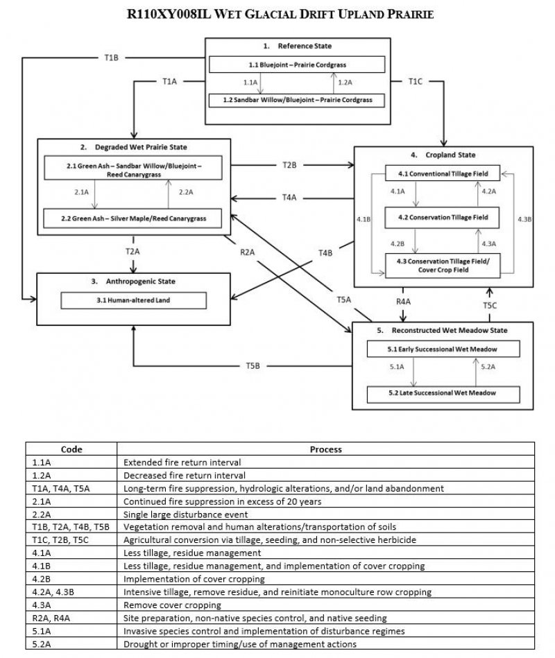 Model diagram