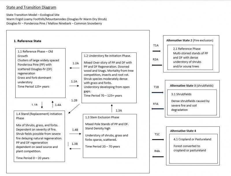 Model diagram