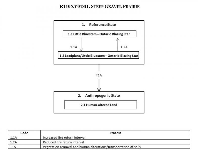 Model diagram