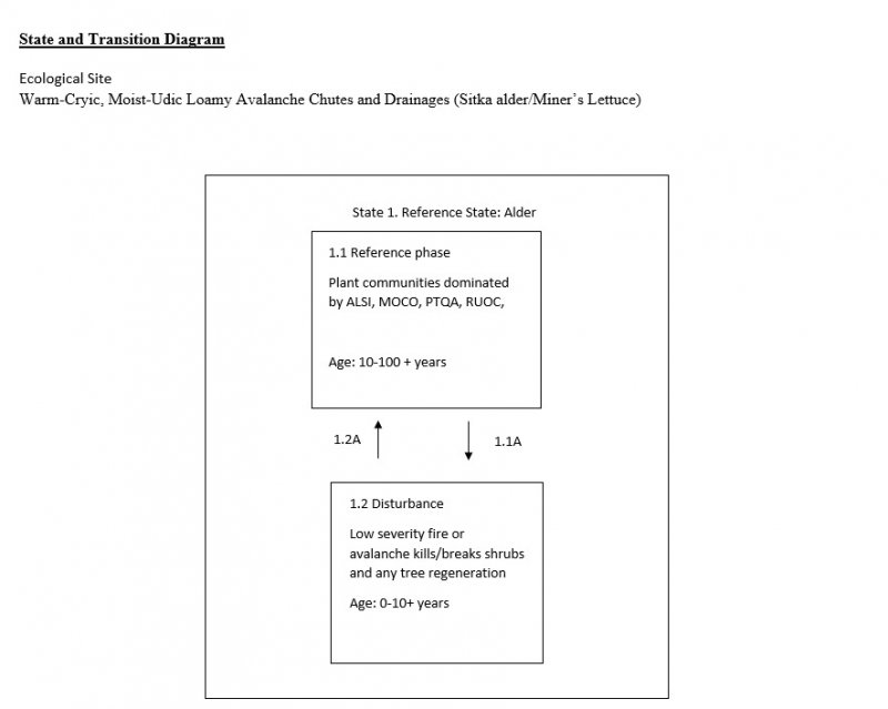 Model diagram