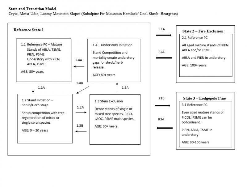 Model diagram